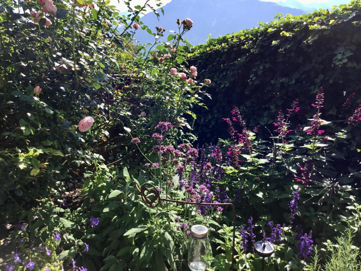 "Natur Pur" Ferienwohnung Mit Eigener Sauna Rons Exteriér fotografie